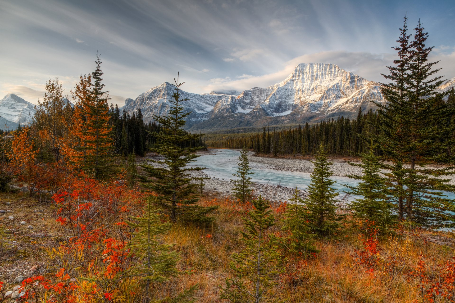 canada alberta parc national de jasper rivière athabasca montagnes forêt automne octobre