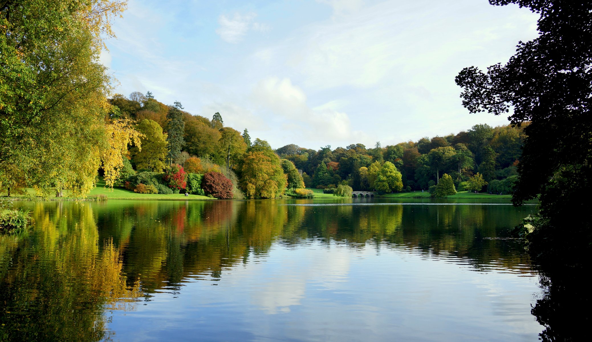 herbst park bäume brücke teich