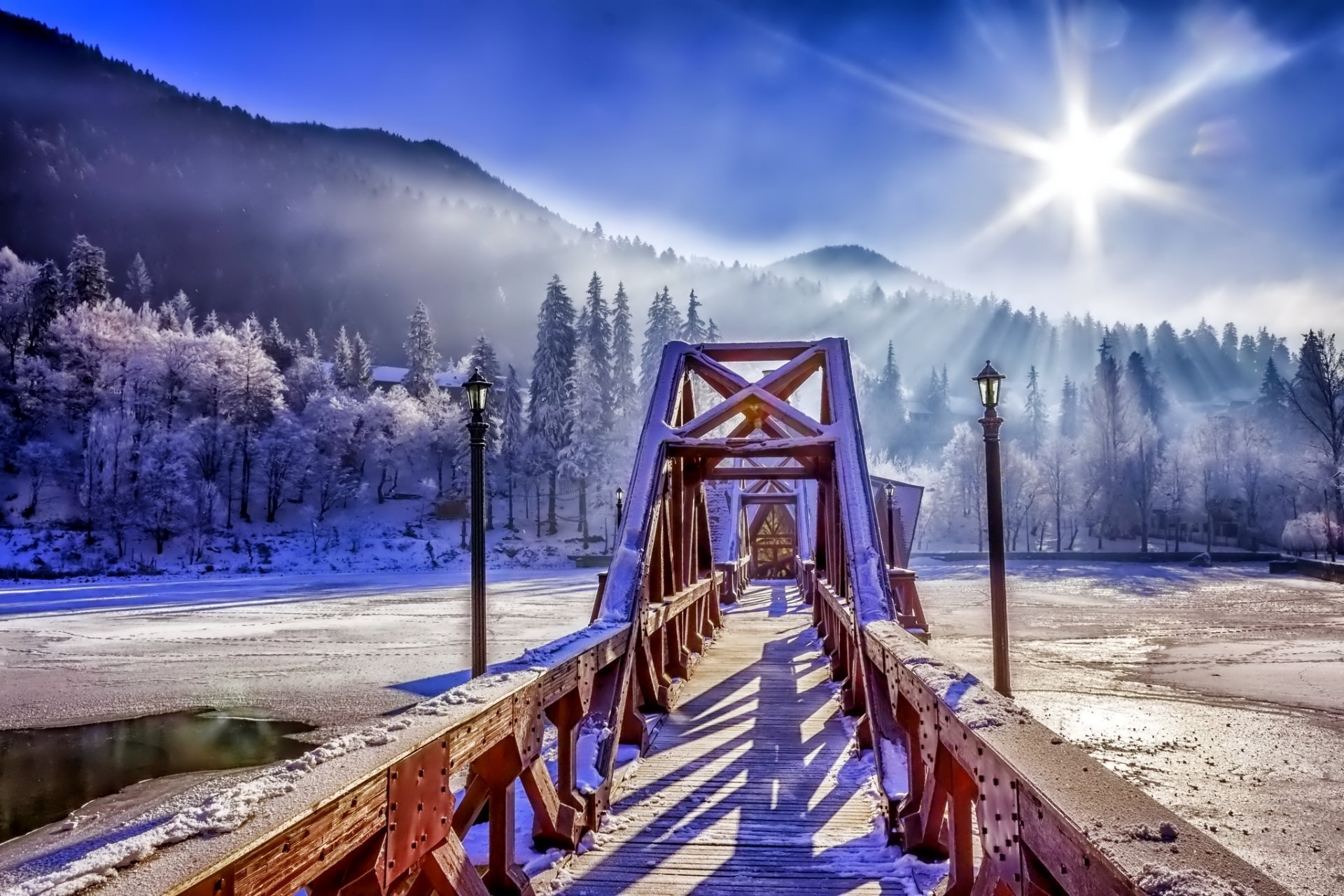 winter snow nature forest sky bridge