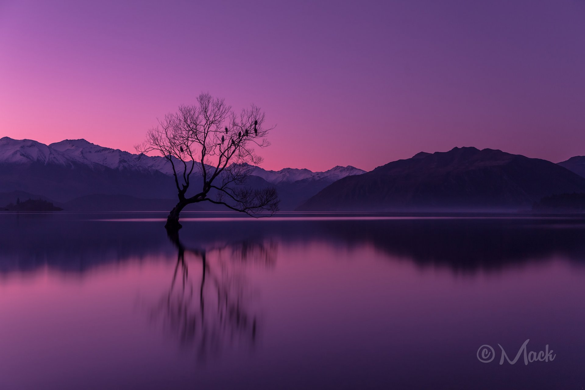 nouvelle-zélande otago péninsule wanaka lac montagnes arbre soirée coucher de soleil ciel réflexion
