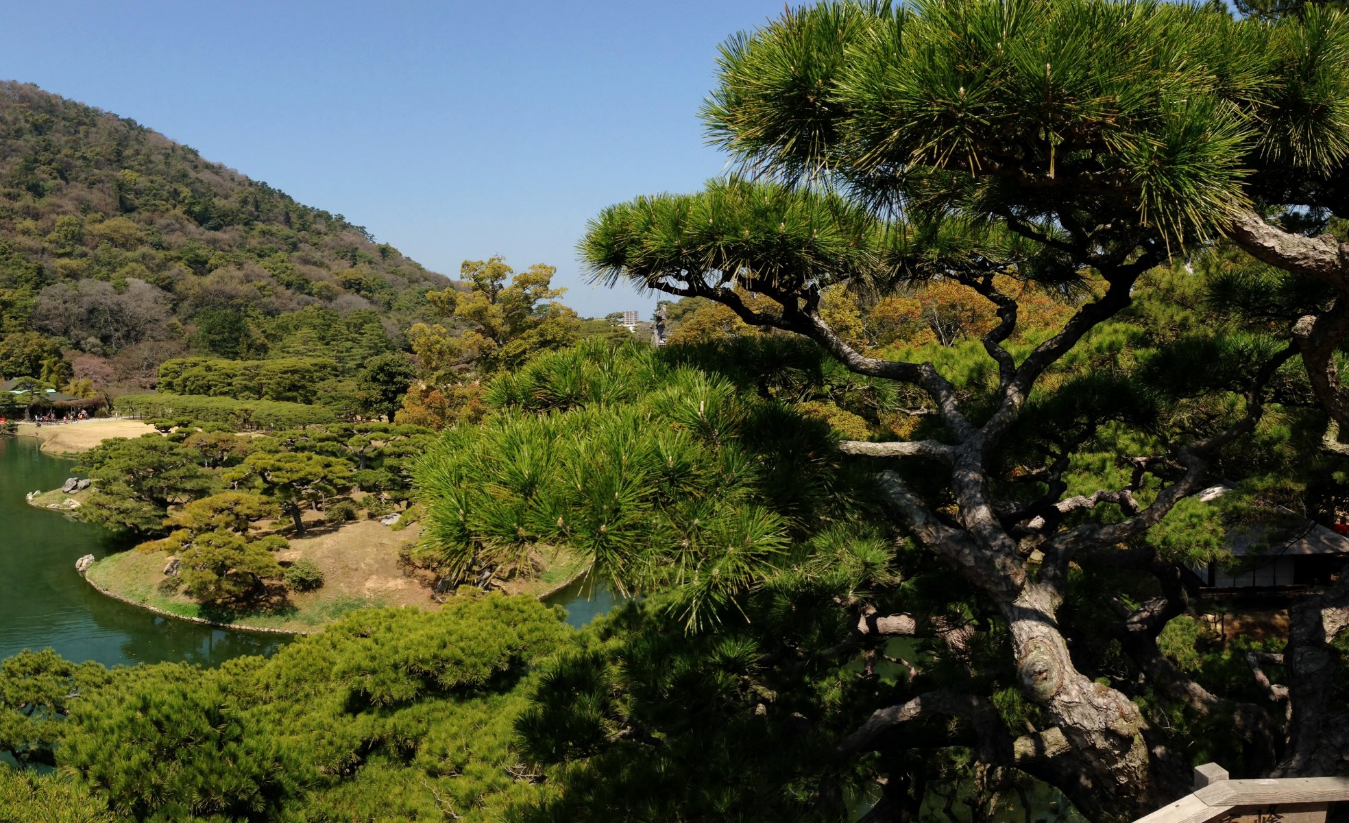 japon jardin takamatsu jardin ritsurin arbres verdure plan d eau