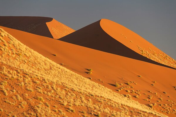 Barkhans de sable dans le désert du Namib