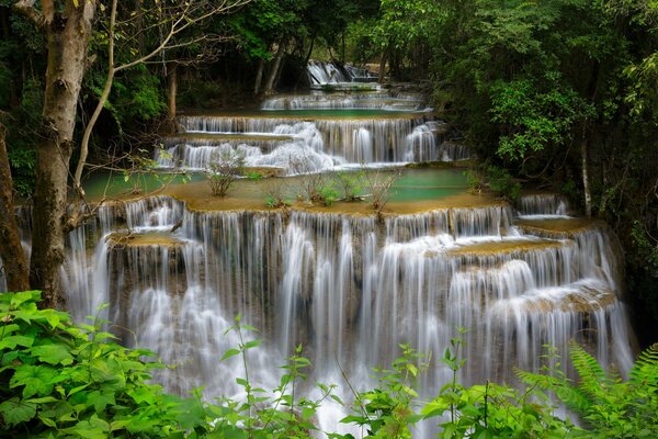 Kaskadierender Wasserfall im grünen Wald