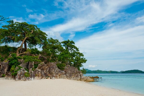 Sulla spiaggia di sabbia bianca incredibile vista sulle scogliere dove crescono gli alberi Blue Shore blu cielo