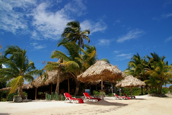 Paraguas de palmera con hamacas rojas