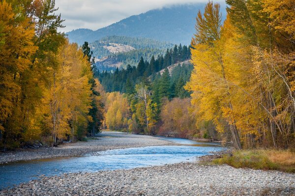 Paysage de montagnes et rivière de montagne en automne