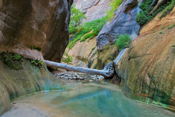 Gorges du rocher dans le parc National