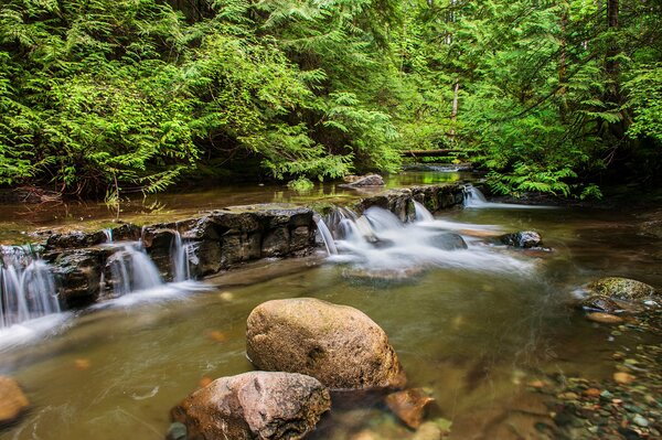 The stones are buried in the rapids