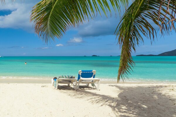 Plage paradisiaque tropicale avec palmier