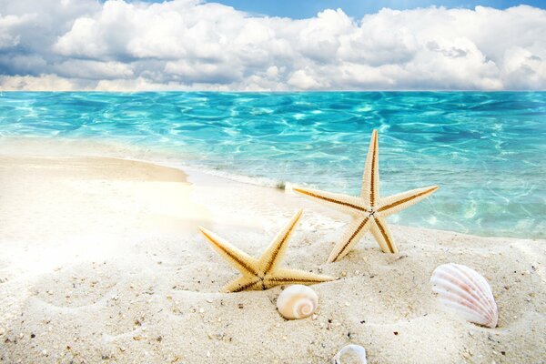 Do you love the sea as I love it ?
