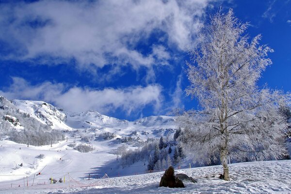 Ciel bleu pendant l hiver