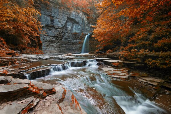 Beautiful waterfall in the autumn forest