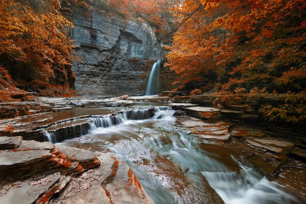 Bella cascata nella foresta d autunno