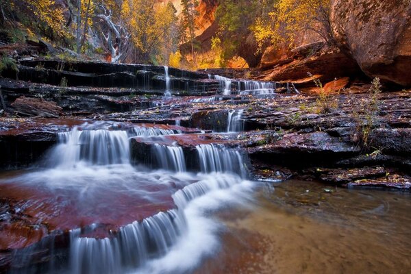 Piccole cascate in una bellissima foresta