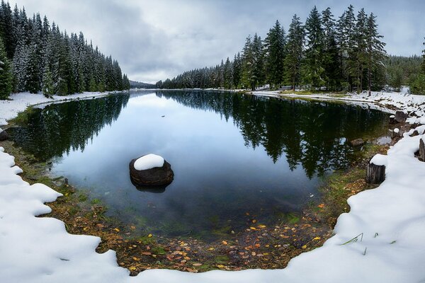 Winter lake in the forest