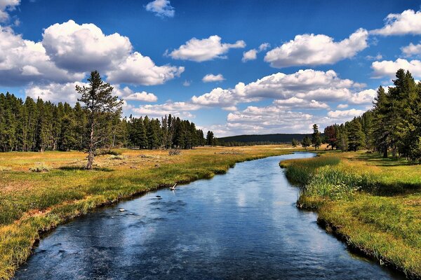 Schöne Landschaft mit blauem Fluss