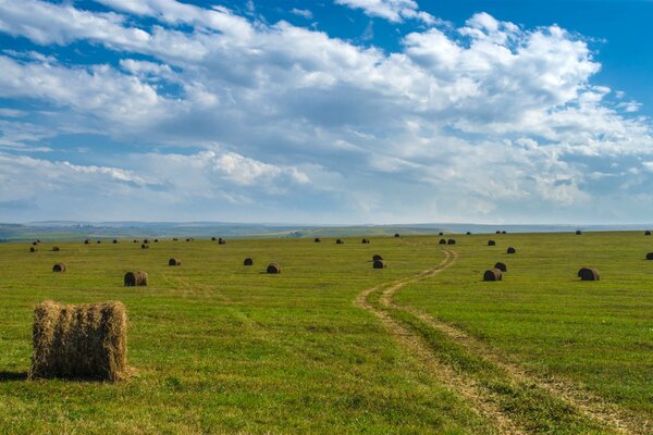 Степь да степь кругом , путь далек лежит