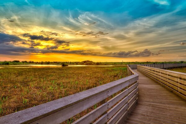 Beautiful sunset in the field