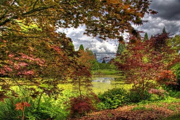 Wunderbare Bäume im botanischen Garten