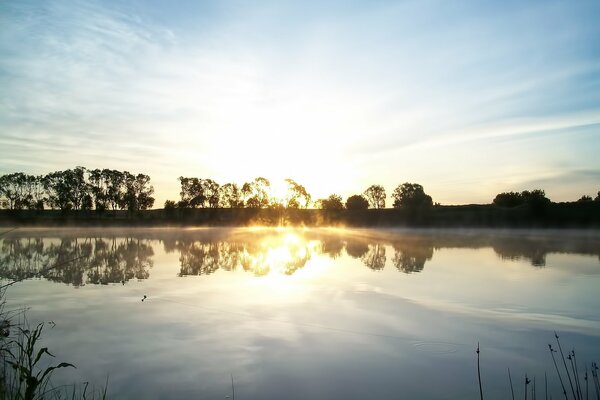 Alba sul lago in cui si riflettono il cielo e gli alberi