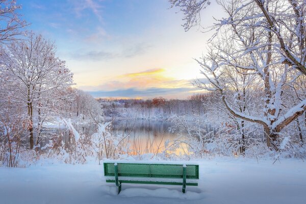 Banc près de l étang en hiver