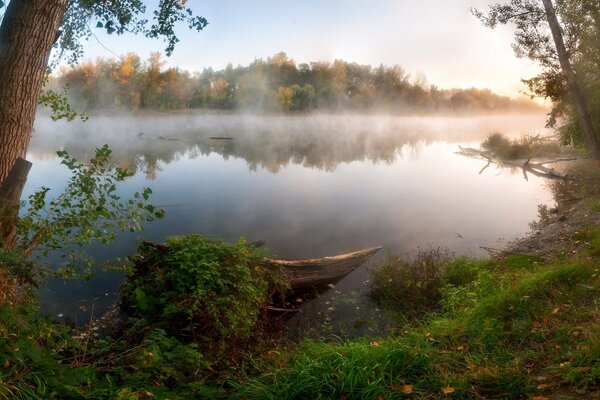 Lac entre les arbres dans le brouillard