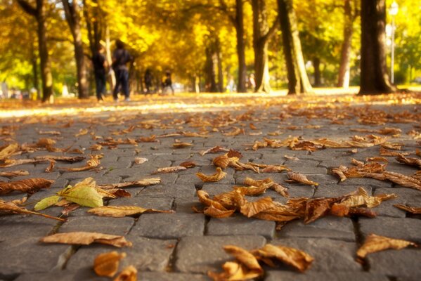 Herbstzeit, Augenzauber