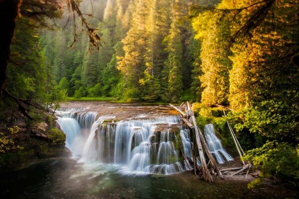 Cascade dans la forêt d automne