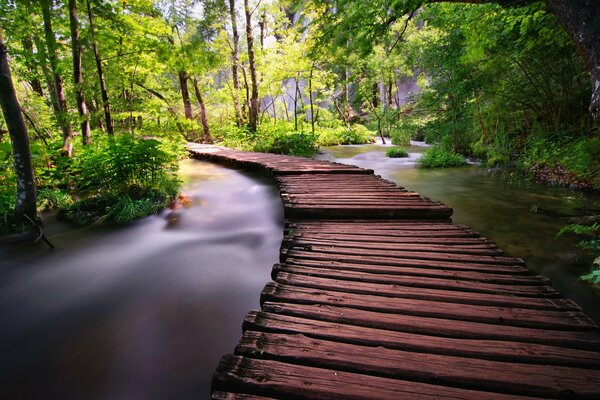 Puente sobre el río en la naturaleza