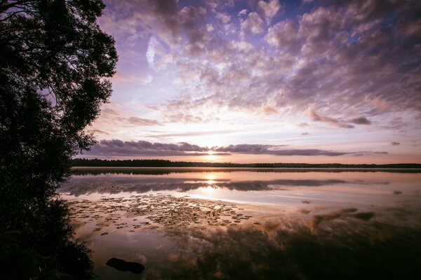 Morgendämmerung am Waldsee