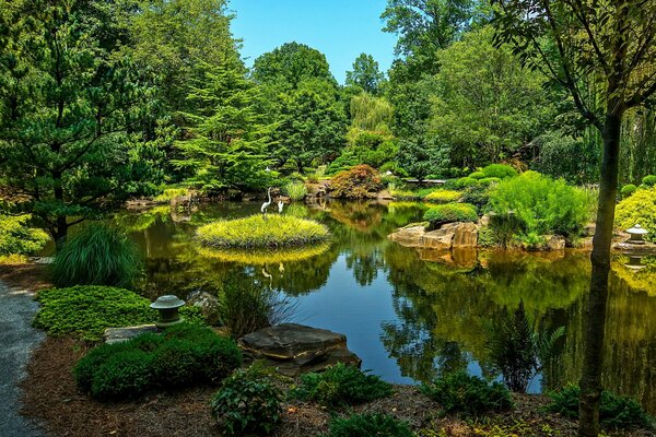 In den USA gibt es einen Park mit einem Teich von unglaublicher Schönheit, es gibt viel Grün und Wasser dort