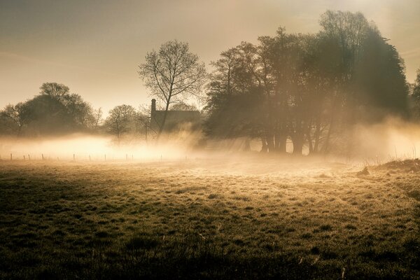 Morgennebel neben dem Haus