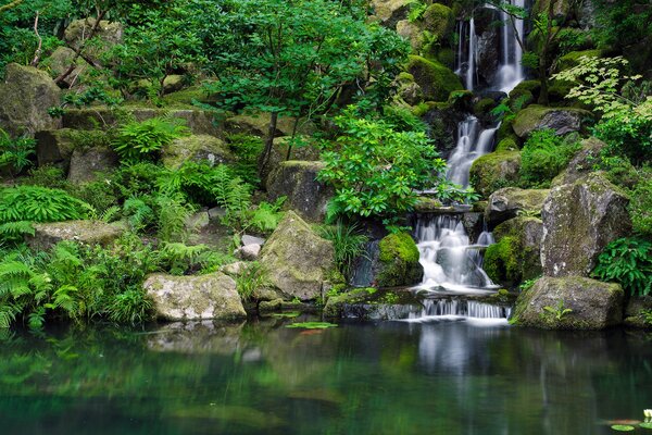 Steine am Wasser im Wald