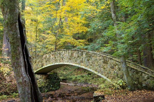 Puente de piedra sobre un arroyo en el bosque de otoño
