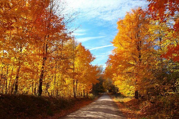 THE ROAD THROUGH THE AUTUMN FOREST
