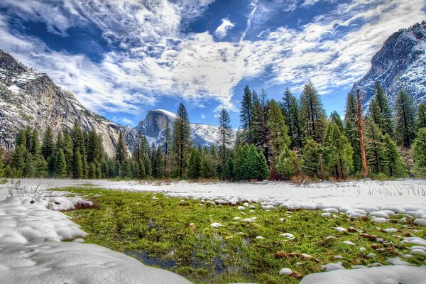 Winter forest with mountain view