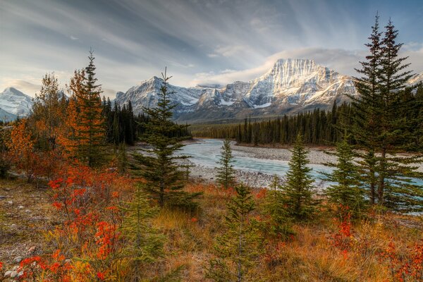 Autumn forest with mountain view