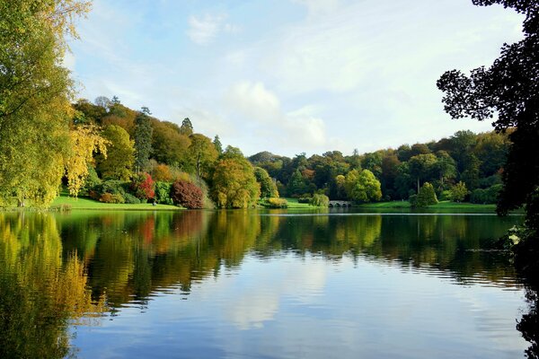 Autumn forest. Pond. Trees