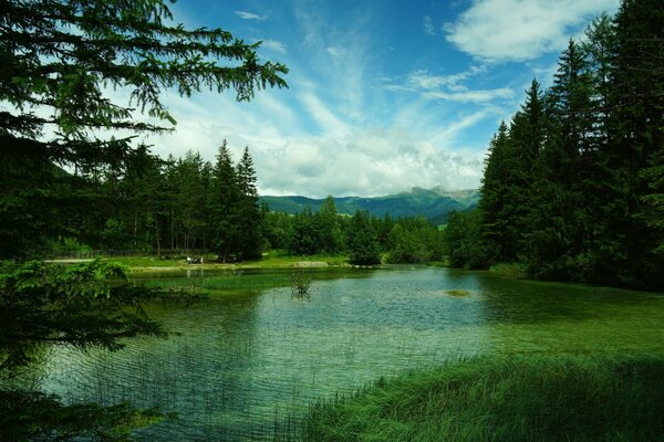 Lac toblacher parmi les montagnes et les forêts en Italie