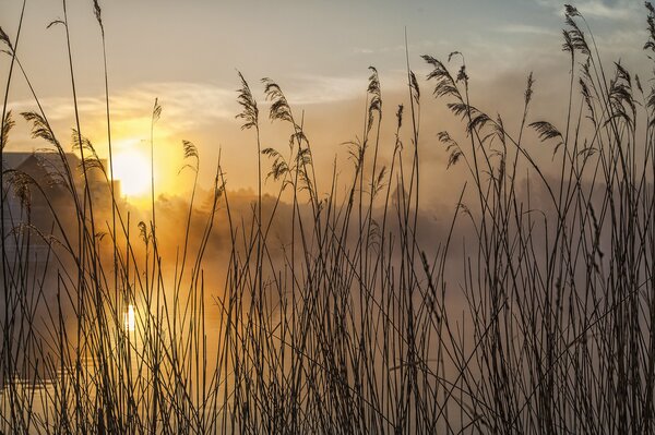 Der Sonnenuntergang am Himmel ist wunderschön