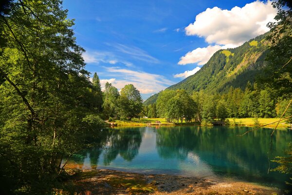 Lago tranquillo nel profondo della foresta