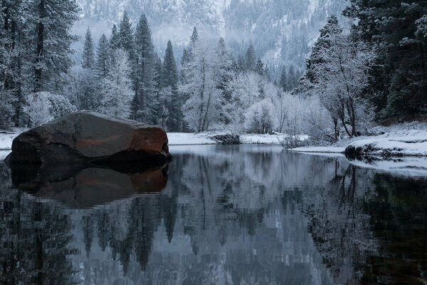 Ein Spiegelbild des verschneiten Waldes in Kalifornien