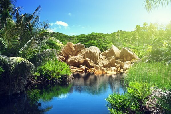 Lago y rocas en la selva tropical