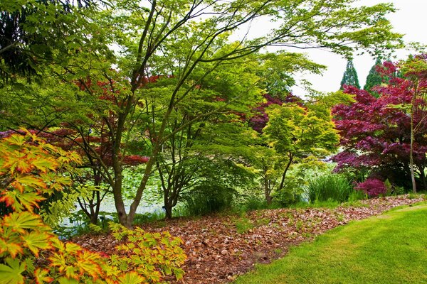 Schöner bltanischer Garten in Kanada