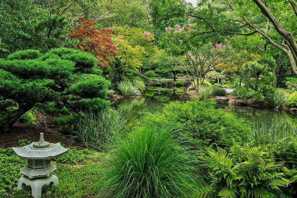 Image de jardin vert japonais avec étang, arbustes dans le jardin