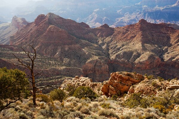 Bellissimo Canyon e rocce in America