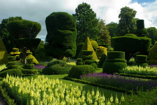 A garden with curly trees is a sight to behold