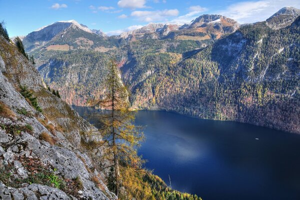 Spruce on the mountainside and blue lake
