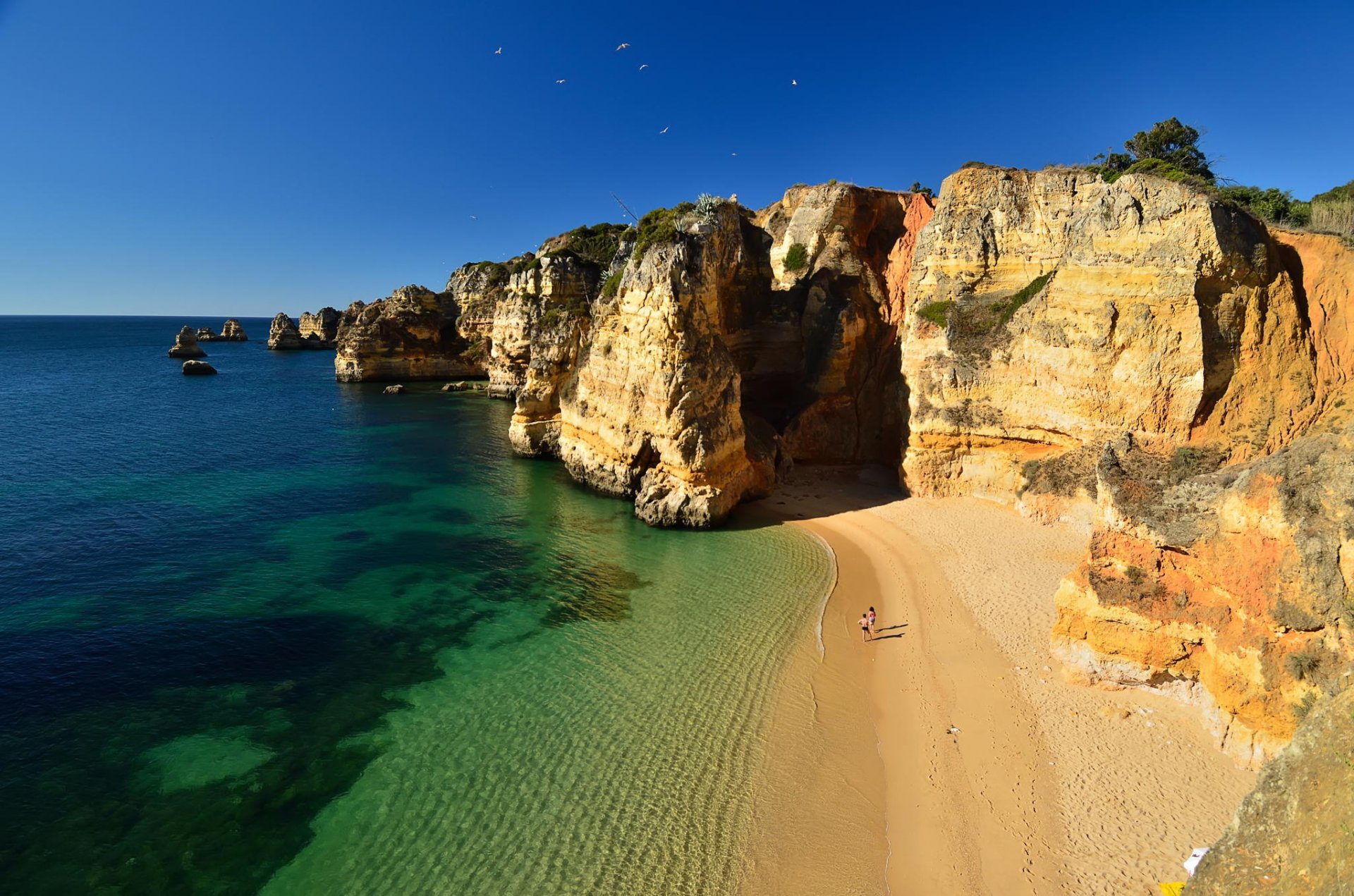 natura plaża klify ocean wybrzeże