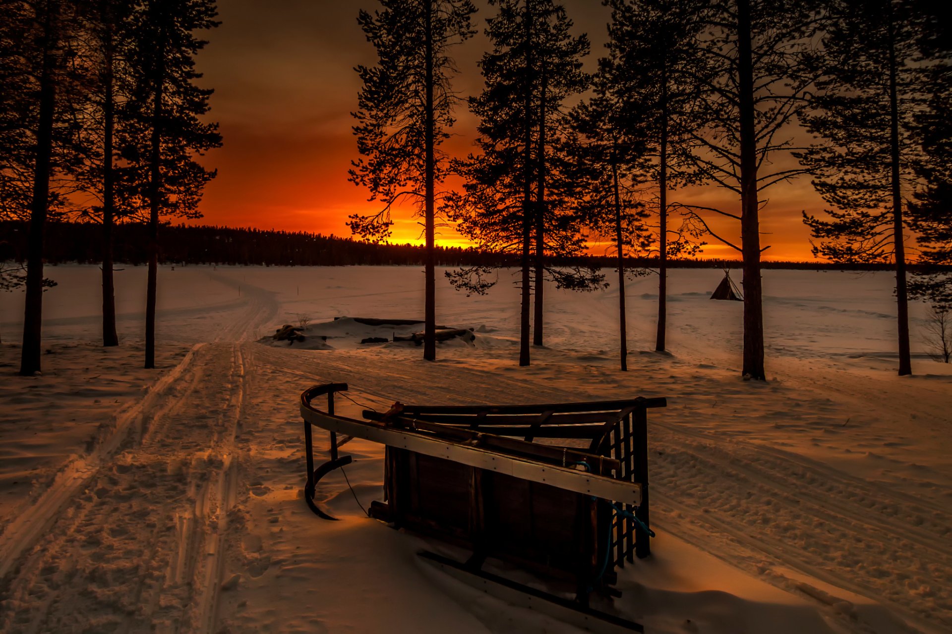 hiver neige traîneau forêt luge coucher de soleil